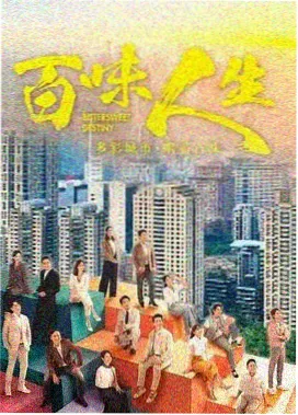 雾港档案电视剧全集海报